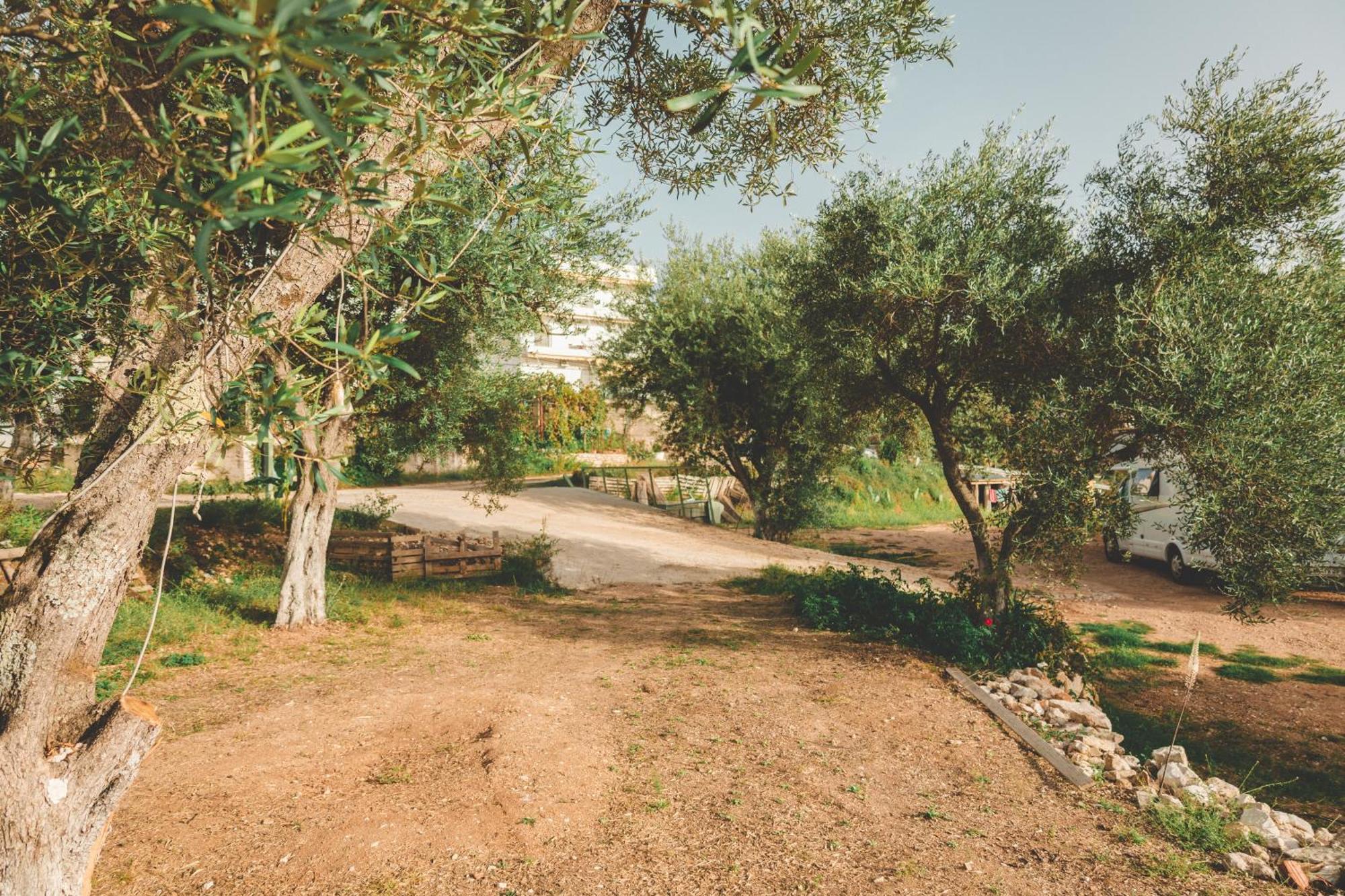 Olive Camping Himare Luaran gambar