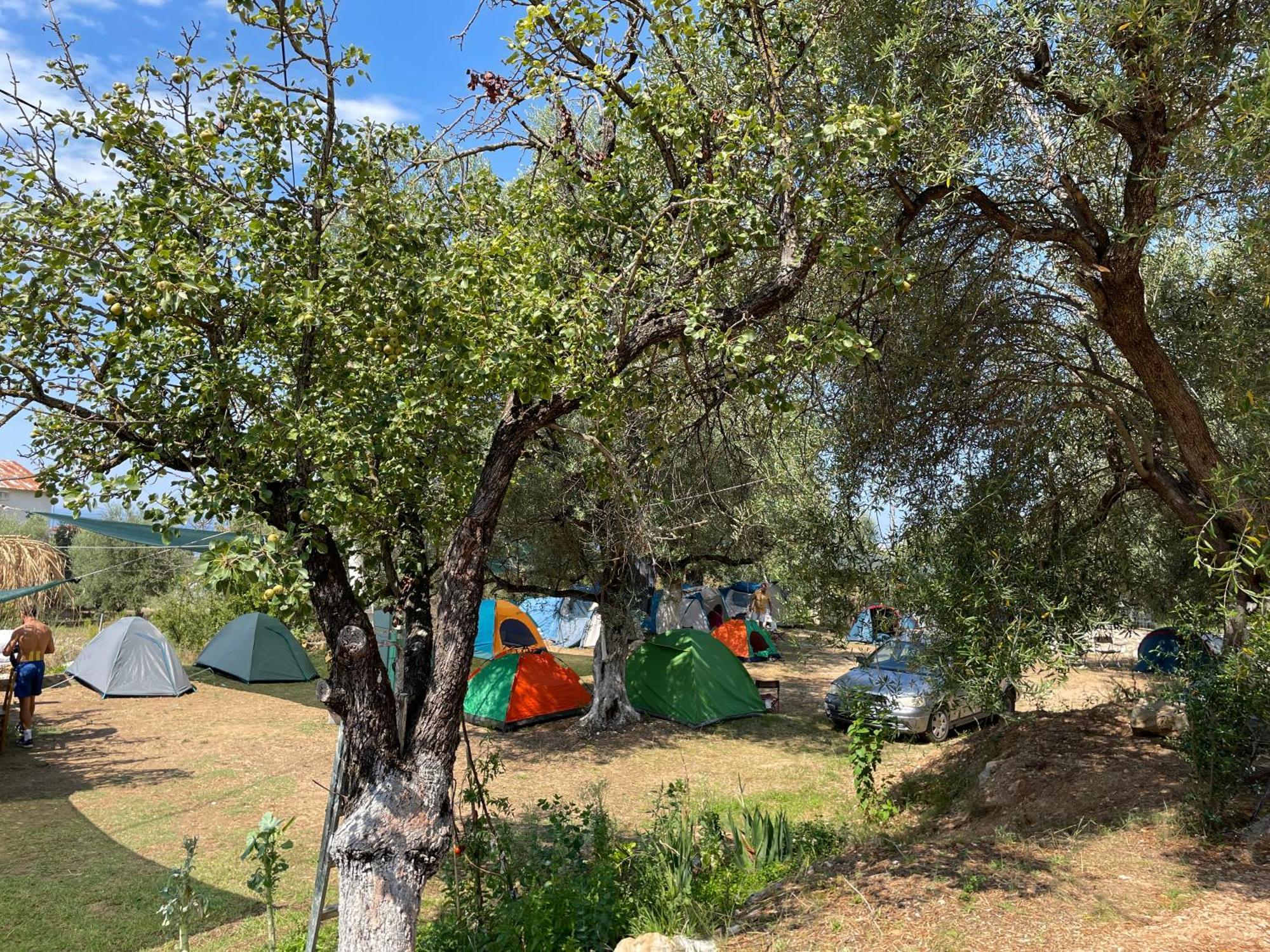 Olive Camping Himare Luaran gambar
