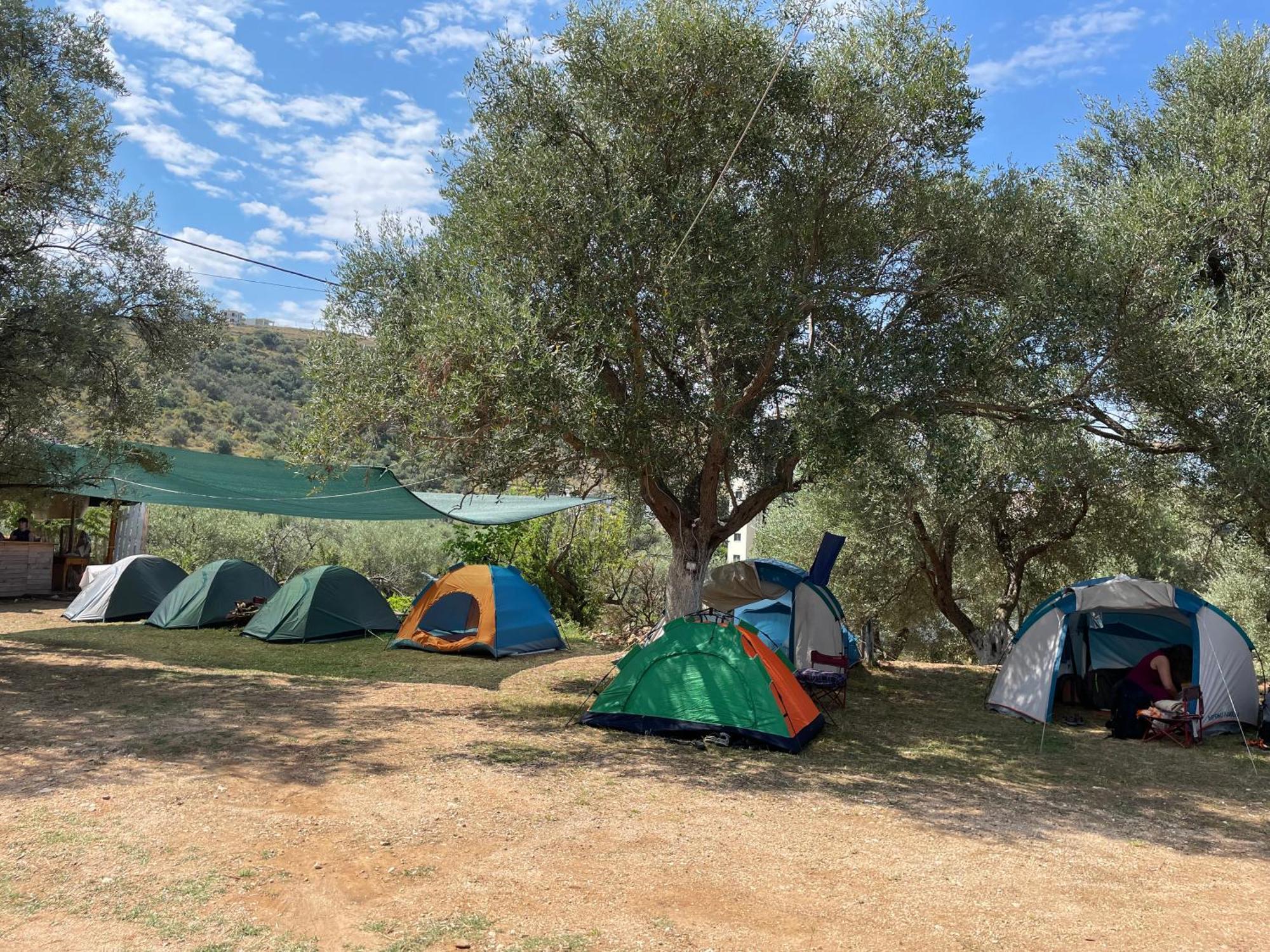 Olive Camping Himare Luaran gambar